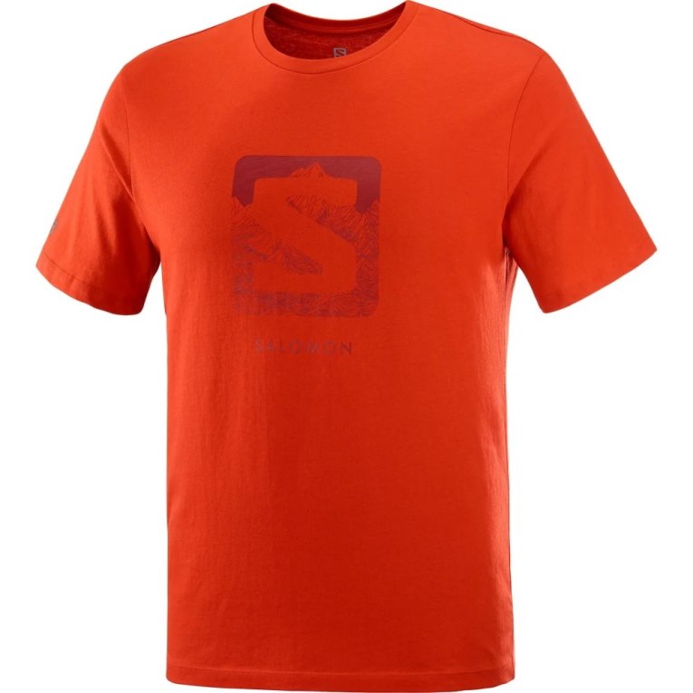 Orange Salomon Outlife Logo Short Sleeve Men's T-Shirts | IE CW3270